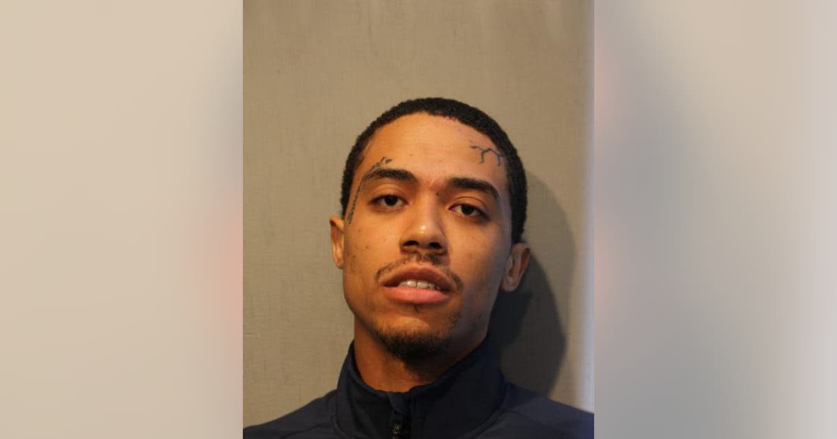 Parolee who shot at Chicago cops in Bronzeville faces attempted murder ...