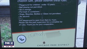 Racist graffiti at Chicago park targets Mayor Lightfoot