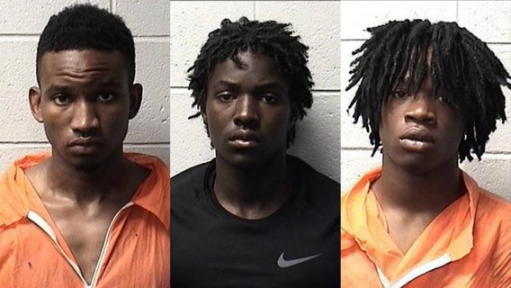 2 teens among 3 charged with murder in Carpentersville shooting