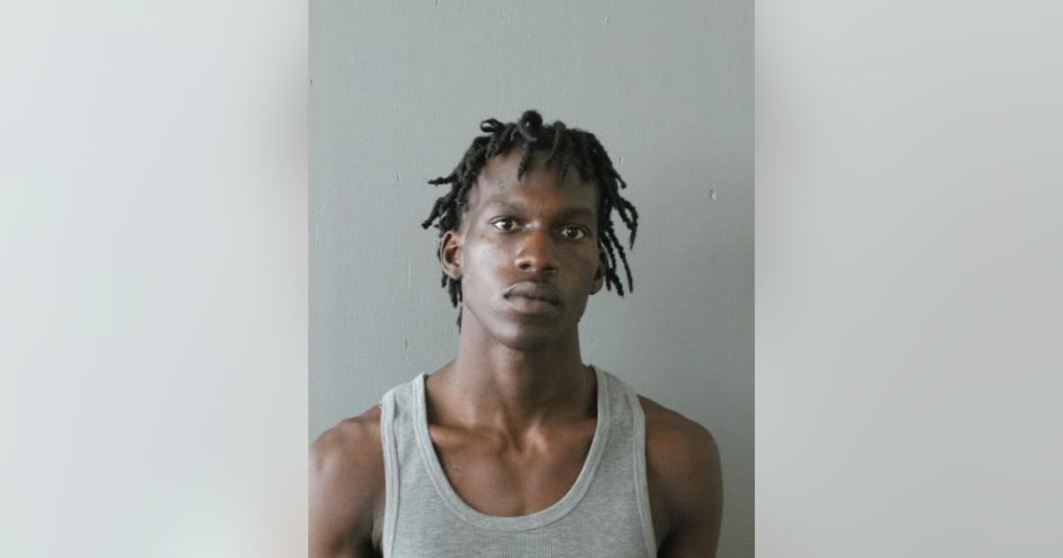 Man charged with killing man who broke up fight in Roseland | FOX 32 ...