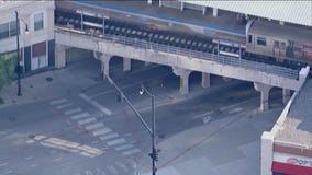 Man shot dead near Red Line station: police