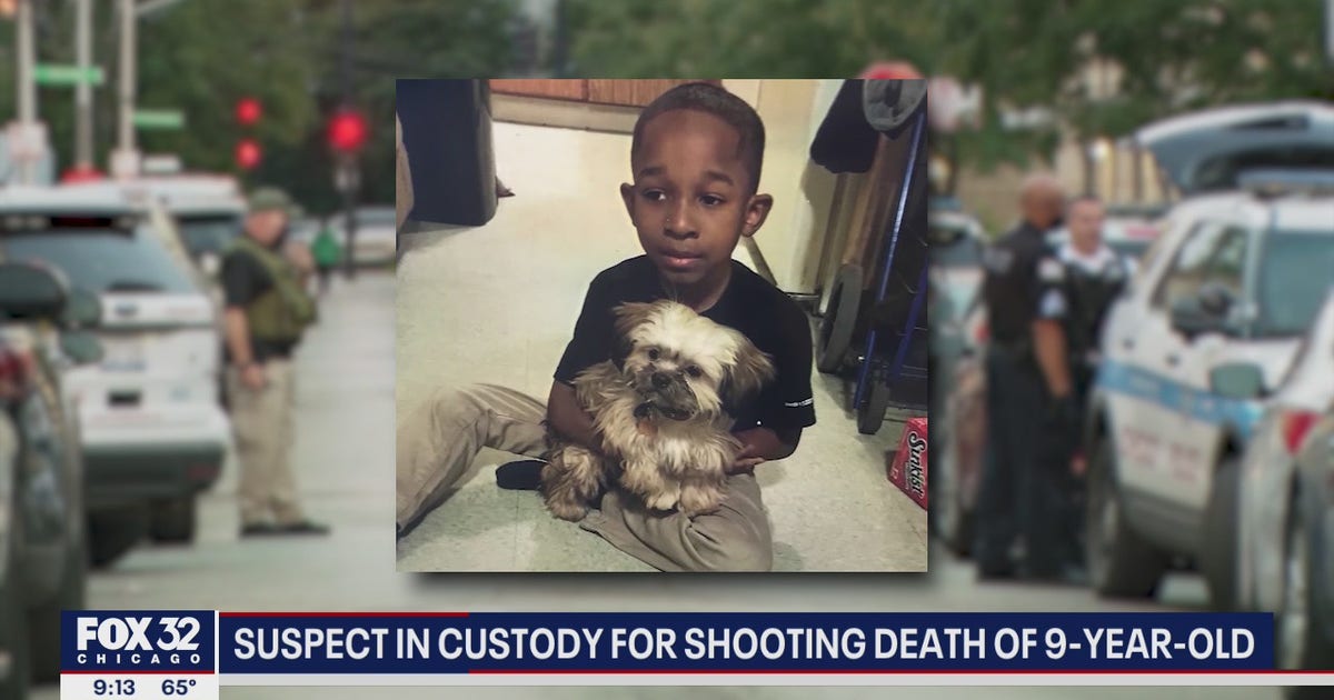 Suspect in custody in fatal shooting of 9-year-old boy: police | FOX 32 ...