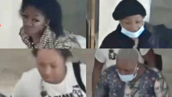 Police release photos of Mag Mile looting suspects