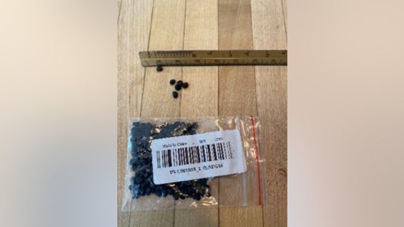 Palos Park police say residents receiving ‘unsolicited mystery seeds from China’