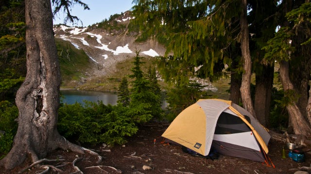Company paying $1,000 to go camping at national park
