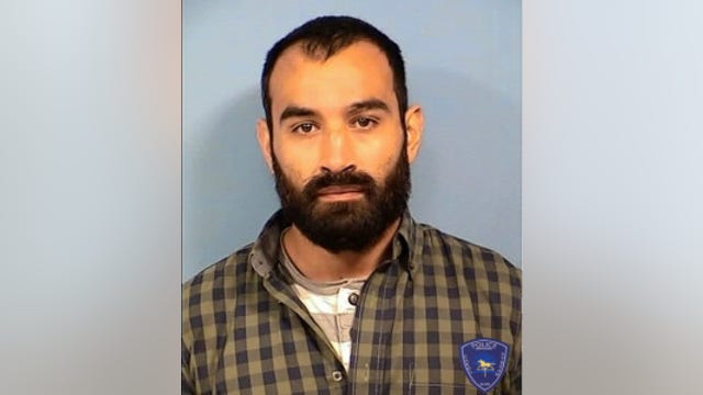 Arrest made in Carol Stream attempted kidnapping case