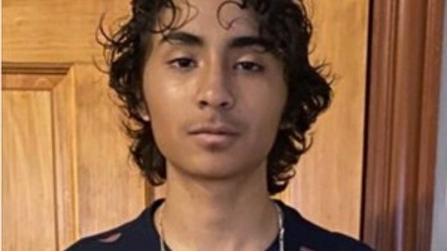 Boy, 15, missing from Sauganash