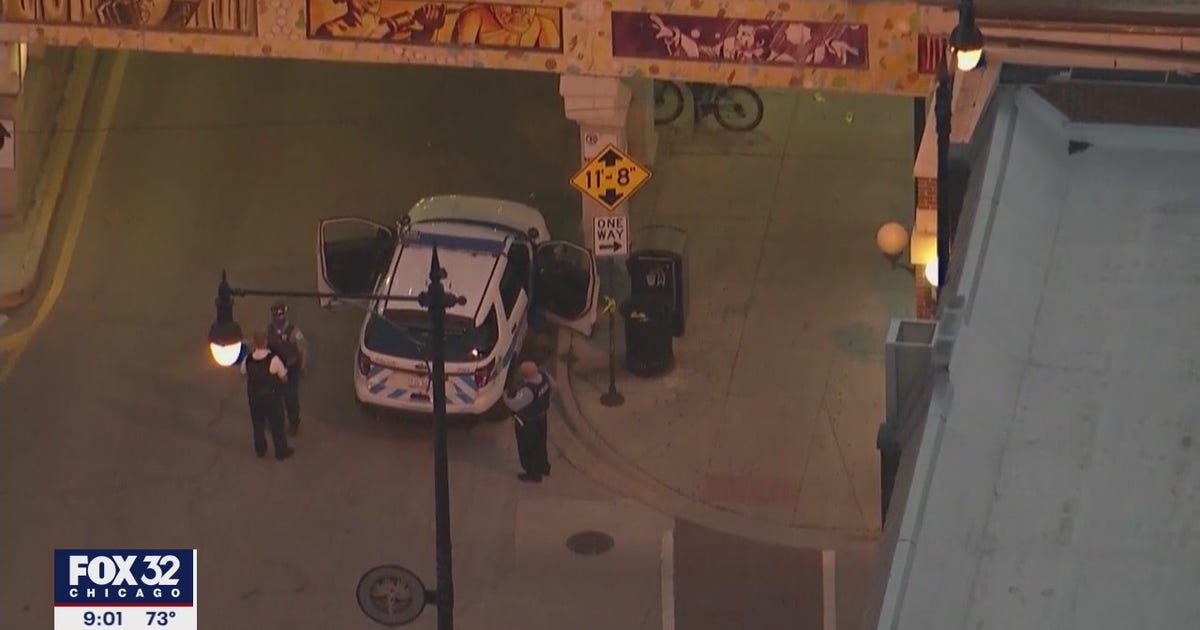Man shot dead in CTA Red Line station in Rogers Park: police | FOX 32 ...