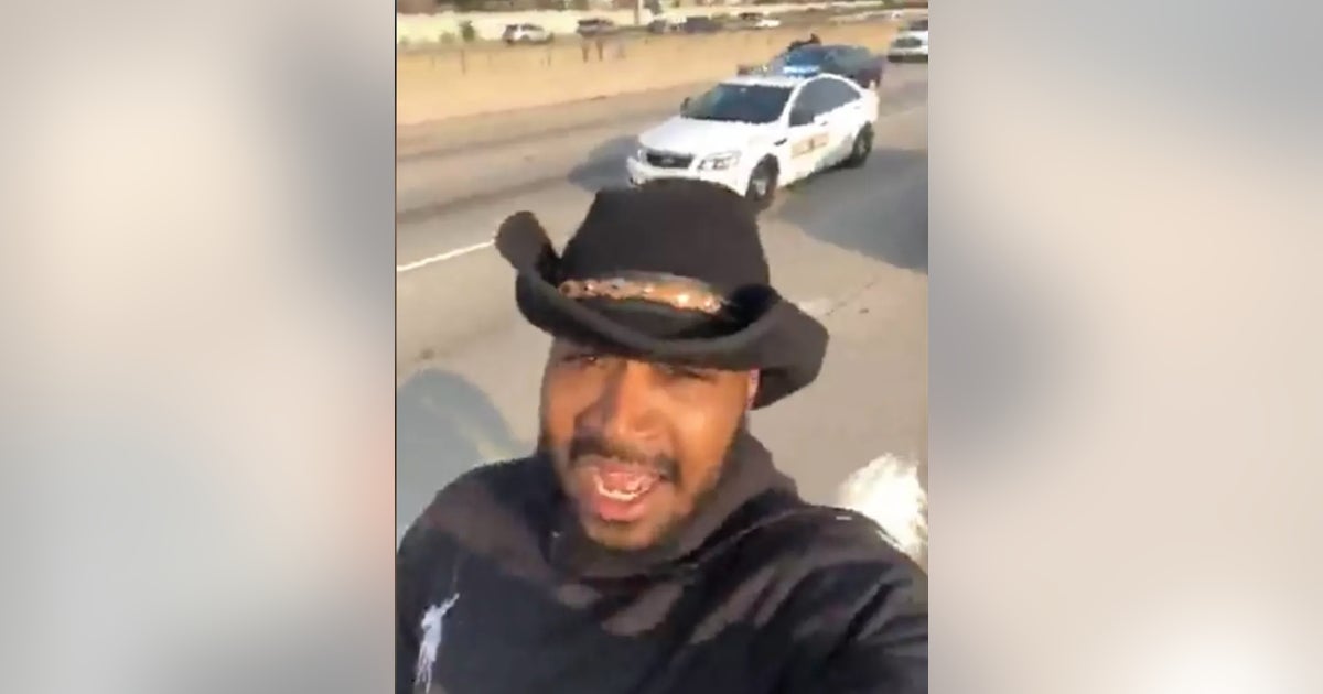 Dread Head Cowboy's horse may need to be euthanized after Dan Ryan ...