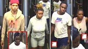 Suspects sought in Red Line robbery in Fuller Park