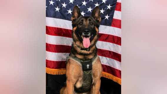 Gwinnett K-9 officer killed in the line of duty to be laid to rest