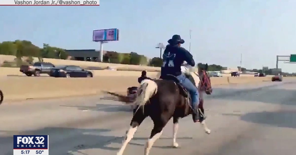 Chicago's 'Dread Head Cowboy' Adam Hollingsworth due in court on Monday ...