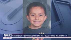 12-year-old watching TV struck by stray bullet in south suburbs