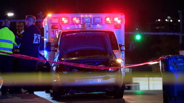 Man shot in Trumbull Park on Chicago's South Side