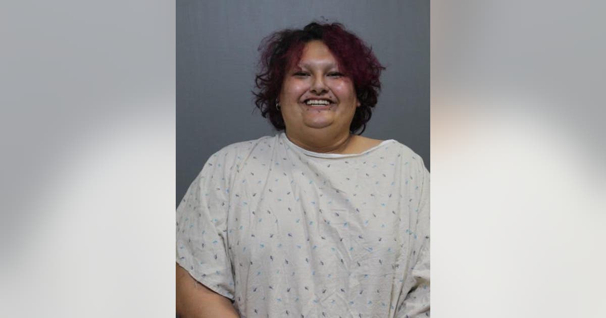 Person charged with stabbing Chicago cop during mental health crisis in ...