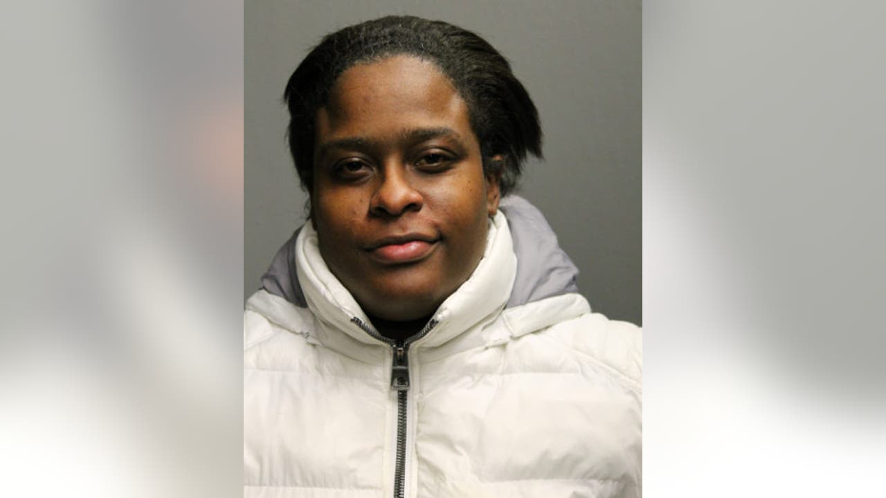 Arlington Heights woman charged again in downtown Chicago looting