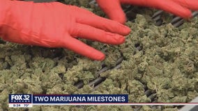 Illinois marijuana sales top $100 million in October