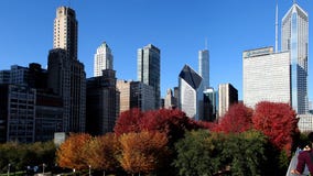 Check out these places to see fall colors as they peak in Chicago