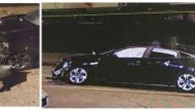 Police searching for vehicle wanted in Burnside fatal hit-and-run