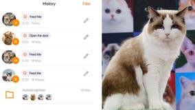 ‘MeowTalk’: App deciphers cat’s mood from meows