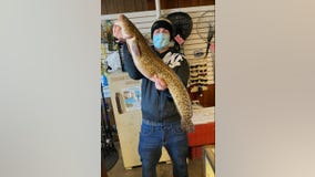 Chicago angler hooks state record burbot fish caught in Diversey Harbor