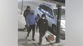 Police seeking individuals in connection with criminal damage to property in Brighton Park