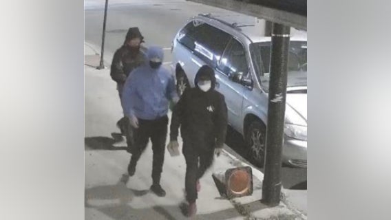 Police seeking individuals in connection with criminal damage to property in Brighton Park