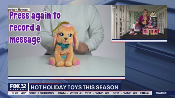 Hot holiday toys this season