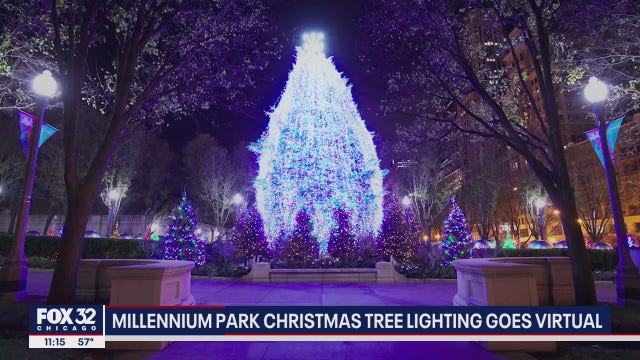 Chicago Christmas tree officially lit for the season