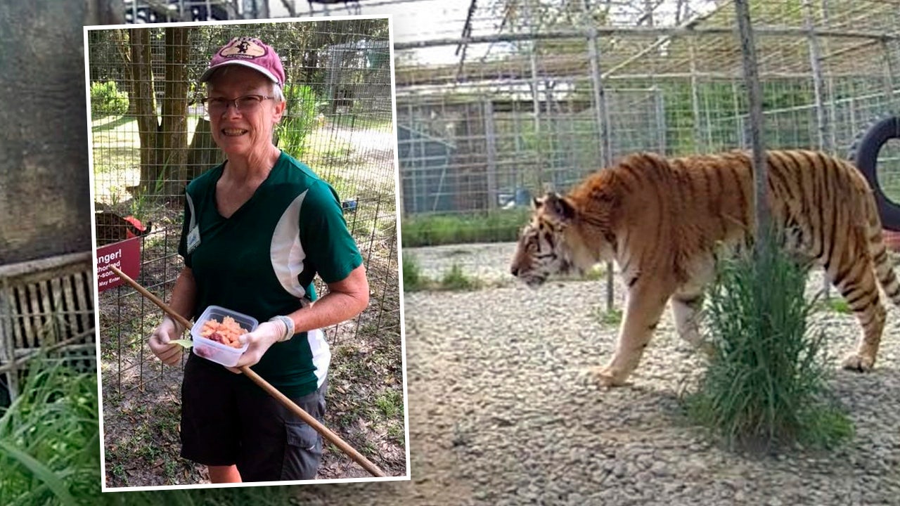 Carole Baskin Tiger at Big Cat Rescue 'nearly tore off' arm of