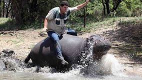 Man mauled to death by pet hippo he described as 'like a son'