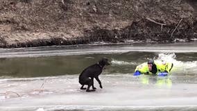 Deputies rescue dog stranded on ice chunk on North Dakota river