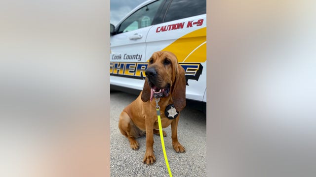 Cook County sheriff’s police K9 finds missing man with autism in suburban Woodridge