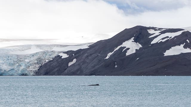 Coronavirus reaches Antarctica, bringing pandemic to last untouched continent
