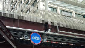 CTA trains halted temporarily near Fullerton due to small fire