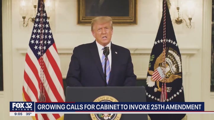 Illinois lawmakers call for removal of Trump: 'Dangerous' and 'loose cannon' - Vimarsana News