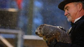 Groundhog Day 2021: Punxsutawney Phil predicts 6 more weeks of winter