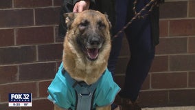 Dog missing for several days finally reunited with owner thanks to CPD officers, community