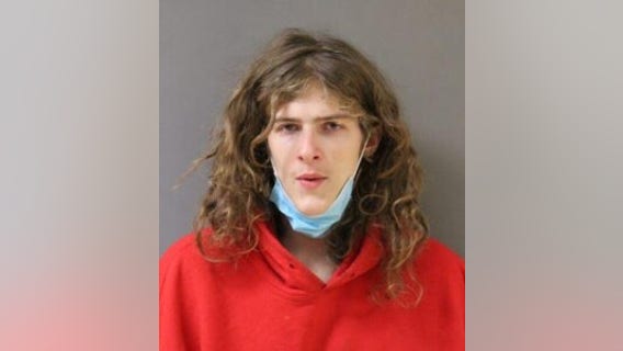 Chicago man charged in carjacking in suburban Niles: police