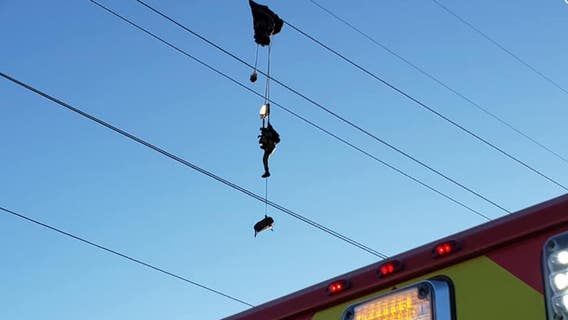 Parachutist dangles from power lines for hours before he can be safely rescued