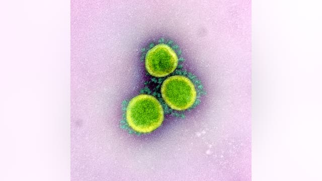 First case of COVID-19 variant originally identified in South Africa reported in Illinois