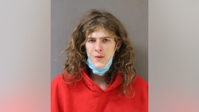 Chicago man charged in carjacking in suburban Niles: police