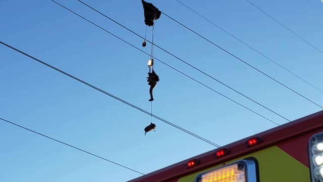 Parachutist dangles from power lines for hours before he can be safely rescued
