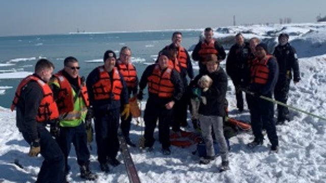 Dog rescued from Lake Michigan near Montrose Dog Beach