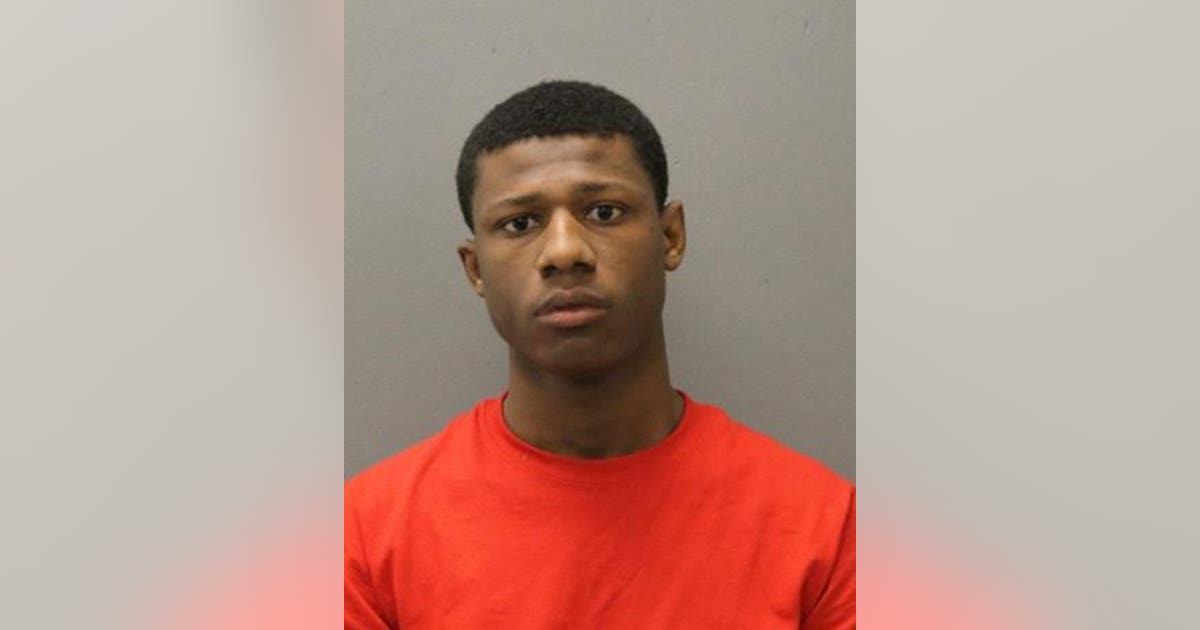 Lawndale man charged with carjacking in Brainerd | FOX 32 Chicago