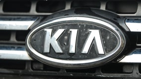Increase in theft of Kia, Hyundai vehicles in Calumet City: police