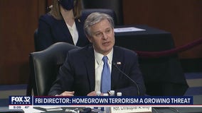 FBI chief warns violent 'domestic terrorism' growing in US