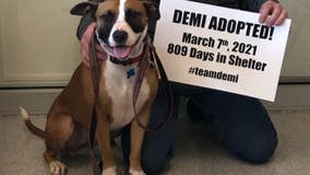 Dog adopted after more than two years at shelter