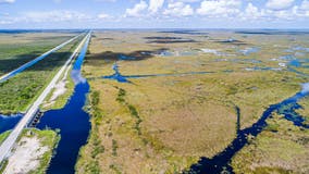 Man who fired gun at Everglades National Park rangers in custody