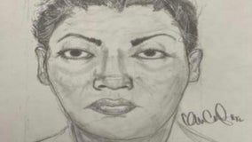 Police search for woman who tried to take child from mother in Brighton Park